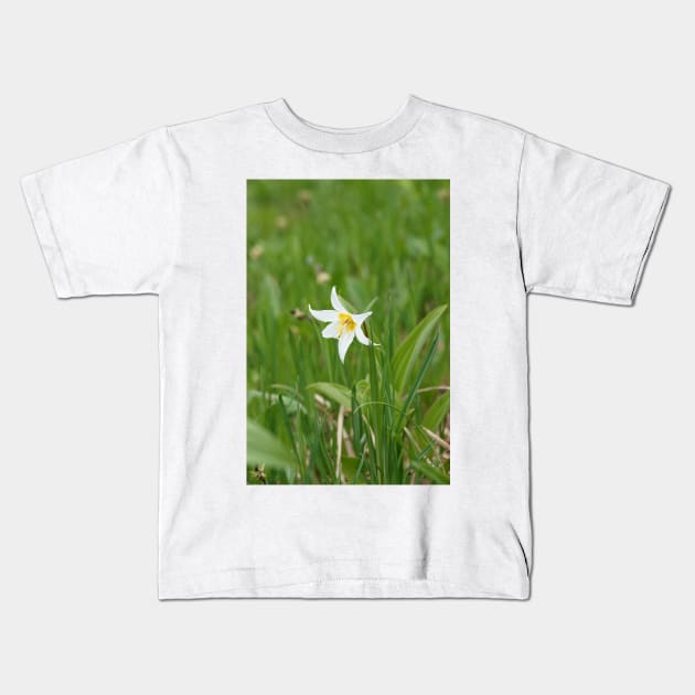 White avalanche lily flower (Erythronium montanum) Kids T-Shirt by SDym Photography